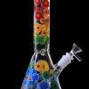 Rainbow Bloom Beaker Bong